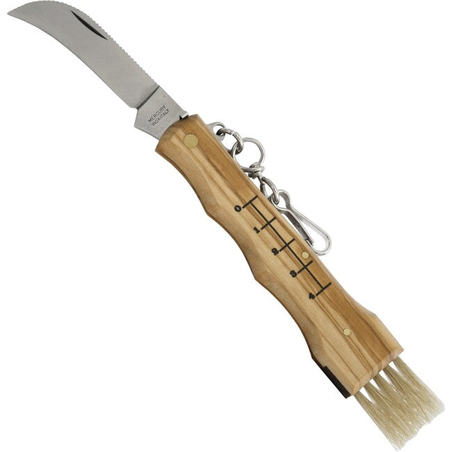 Olivenholz Pilzmesser