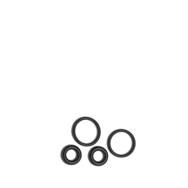 PRIMUS Duo Valve Anschluss O-Ring