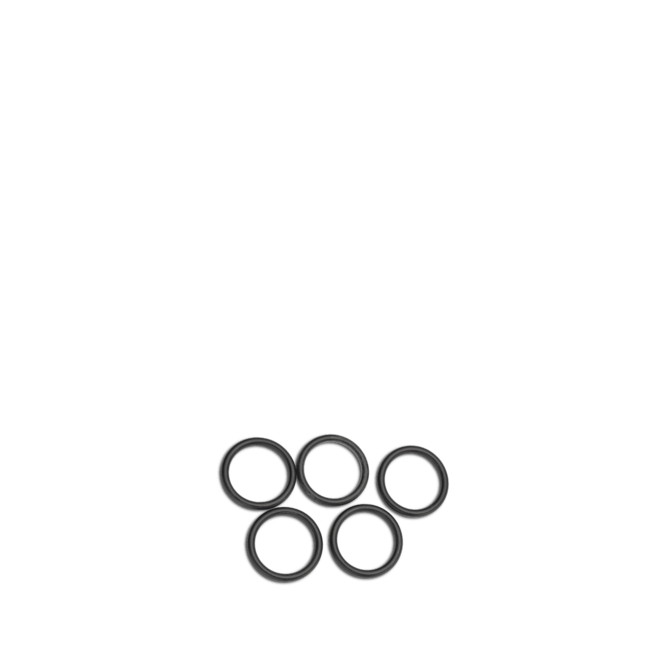 PRIMUS O-Ring für Pumpe