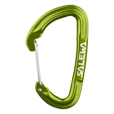 Salewa Hot G3 Karabiner grün