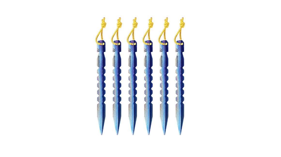 Silverant Titanium Zeltstifte Y-Profil