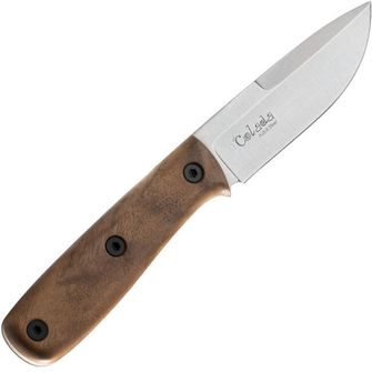 Messer mit feststehender Klinge Kizlyar Supreme Colada AUS-8 Satin Walnut