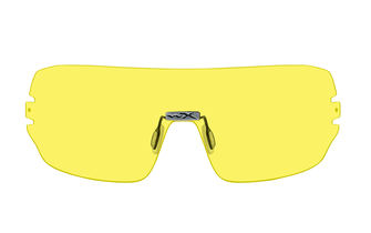 WILEY X DETECTION Schutzbrille mit austauschbaren Gläsern