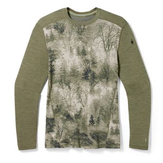 Smartwool Funktions-T-Shirt mit langen Ärmeln M MERINO 250 BASELAYER CREW BOXED, winter moss forest